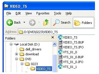 Check the Output Folder