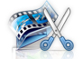 customized DVD structure to copy or shrink